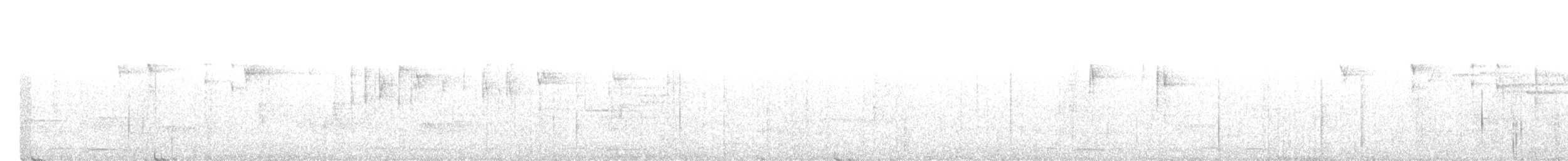 Black-cheeked Warbler - ML563241341