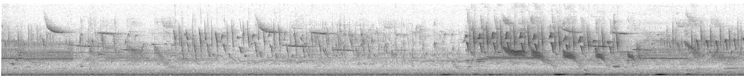 Schwarzbart-Rohrdommel - ML563273721