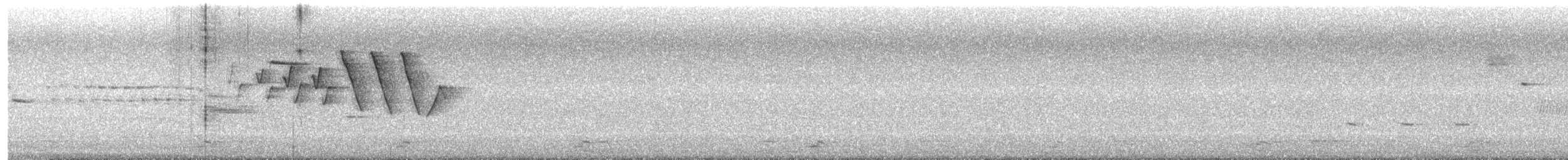 Yellow Warbler (Northern) - ML563304761