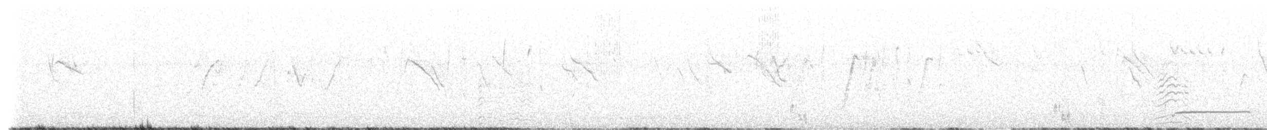 Australasian Grebe - ML563330661