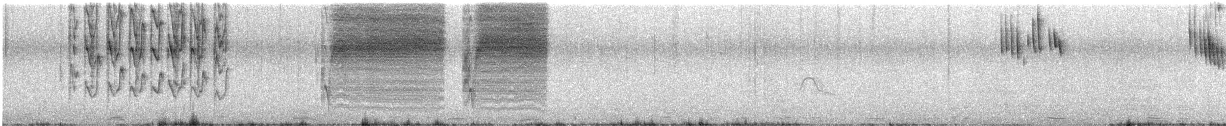 Lesser Antillean Bullfinch - ML563356711