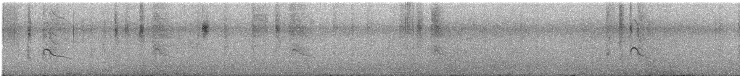 Caribbean Elaenia (Caribbean) - ML563360291