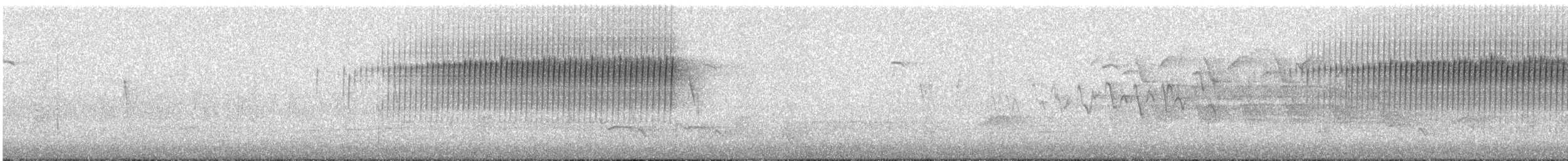 Paruline vermivore - ML56341441