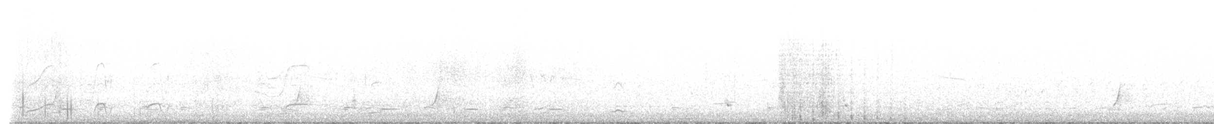 斑胸秧雞 - ML563423531