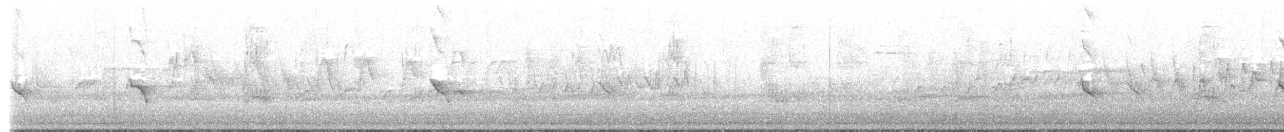 Evening Grosbeak (type 4) - ML563509971