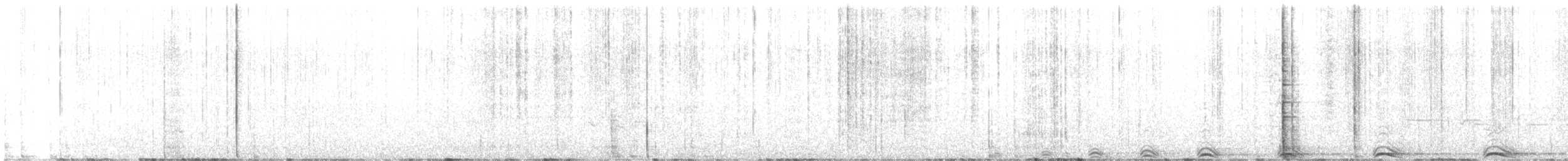 Сова плямиста (підвид lucida) - ML563528961