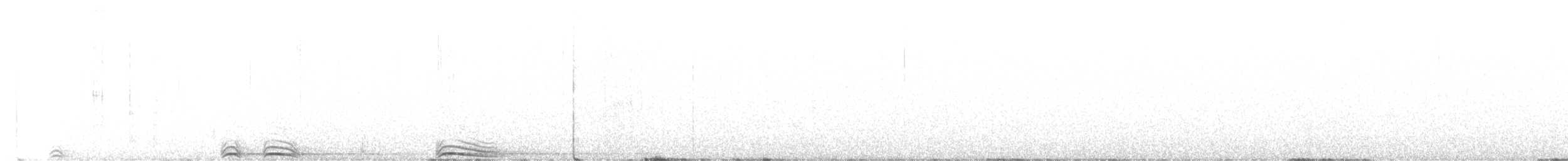 puštík západní (ssp. lucida) - ML563528971