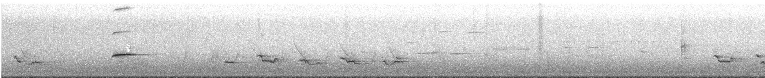 rødsidetovi - ML563542161