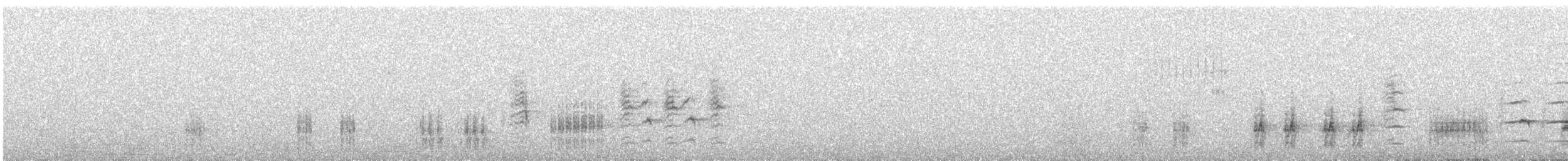 Great Reed Warbler - ML563548201