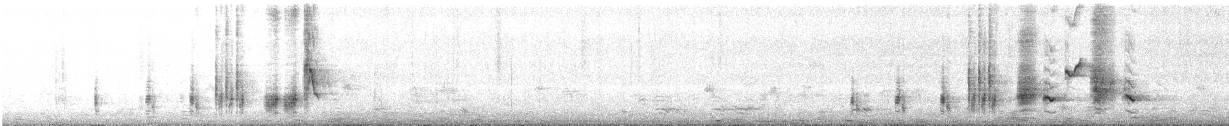 Clamorous Reed Warbler - ML563562431