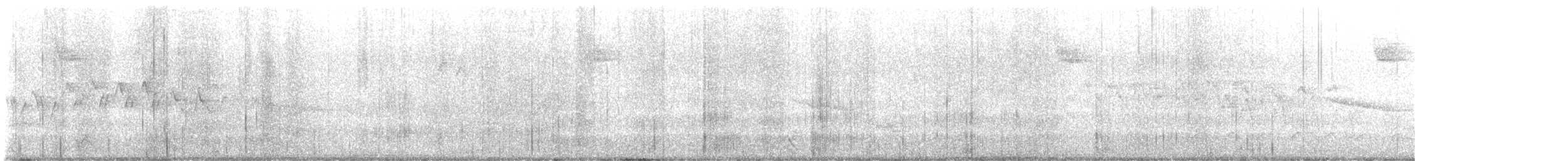 Yellow-rumped Warbler (Myrtle) - ML563568701