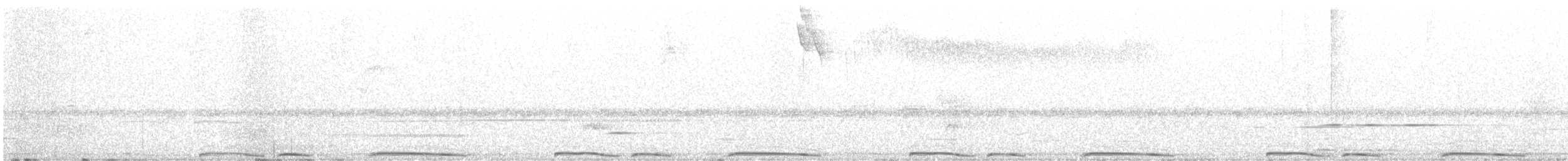 holub šedobřichý - ML563572531