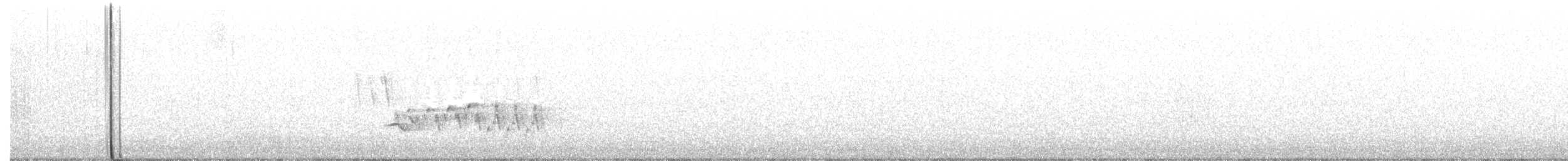 Northern House Wren (Northern) - ML563645201