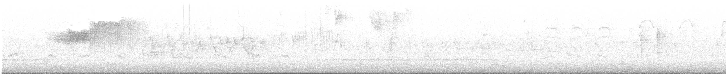 Blue-winged Warbler - ML563645321