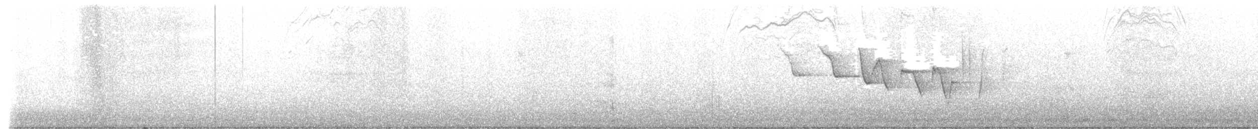 Трясогузковый певун - ML563659681