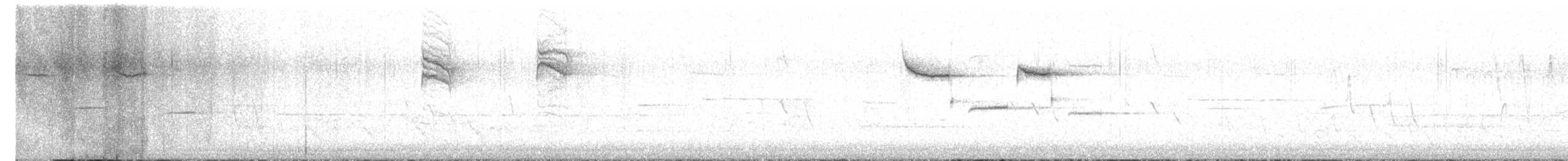 Carolina Chickadee - ML563693701