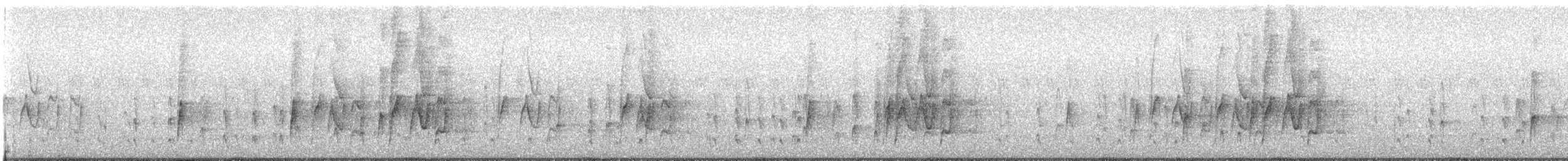 Schmalschnabel-Königstyrann - ML563720741