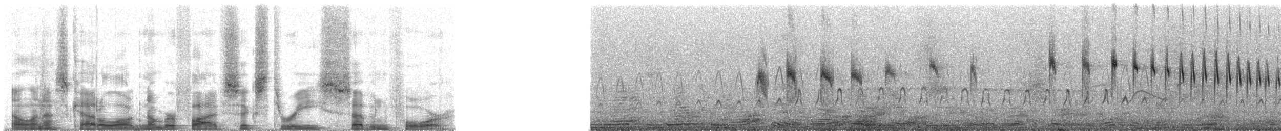 Steinbach's Canastero - ML56374