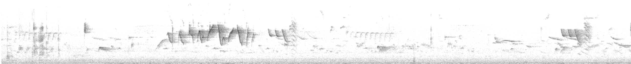 Червоїд сіроголовий (підвид ridgwayi) - ML563807021