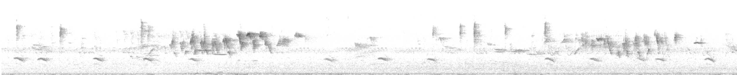 Black-throated Gray Warbler - ML563807121