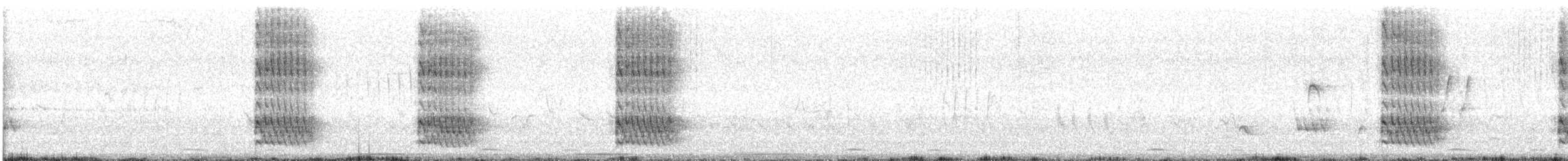 キバナシマセゲラ（aurifrons） - ML563861591