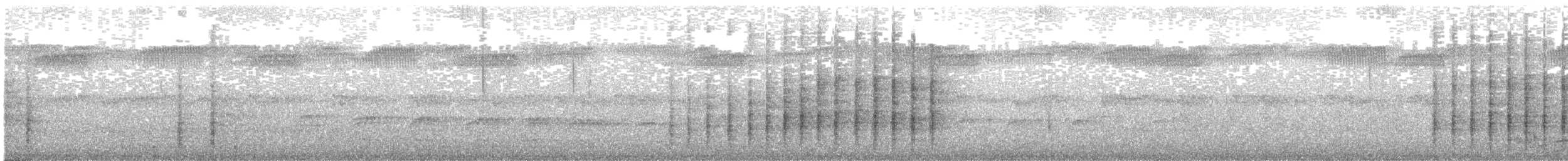 Black-faced Monarch - ML56386551