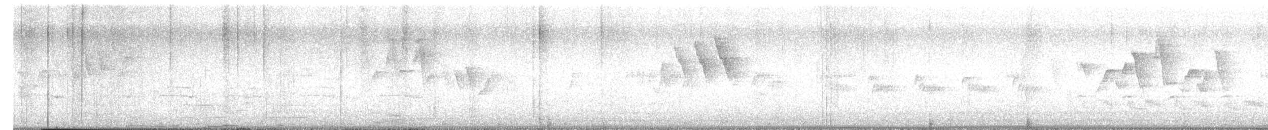 gulparula (aestiva gr.) - ML563873171