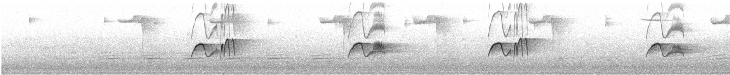Eastern Phoebe - ML563919321