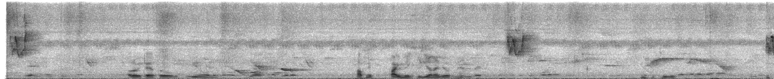 Greenish Warbler - ML563934481