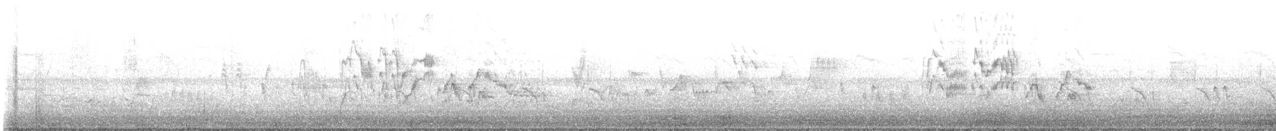 Tordo di Baird - ML563953361