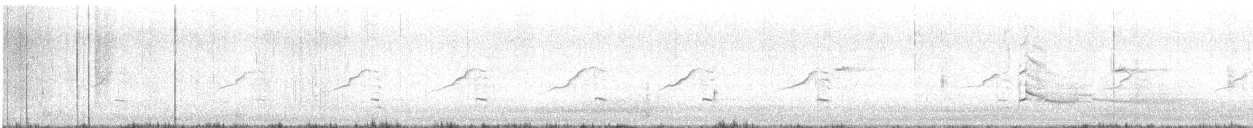 Канюк неоарктичний (підвид borealis) - ML563986521