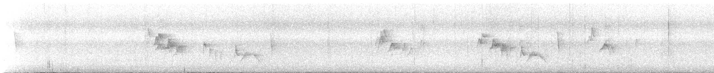 kortstjertvireo - ML563993231