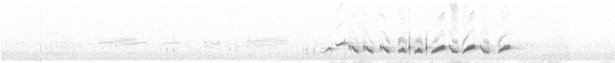 Western Orphean Warbler - ML563999201