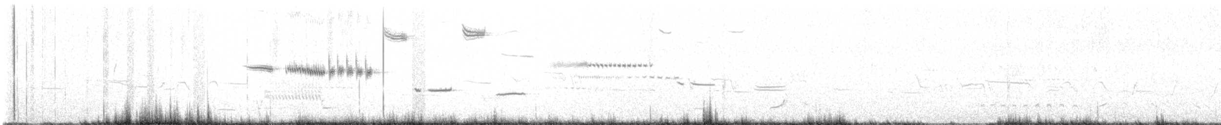 サメスズメモドキ - ML564009071