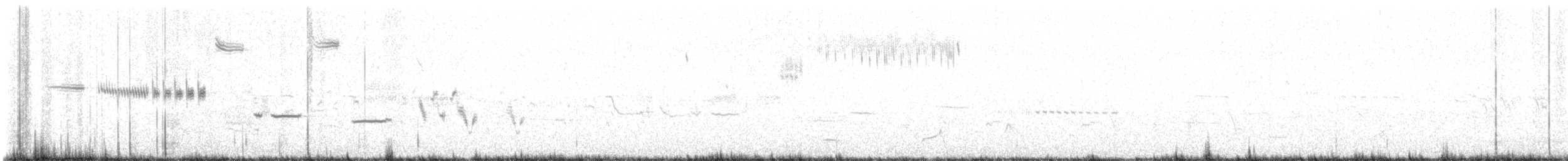 サメスズメモドキ - ML564009081