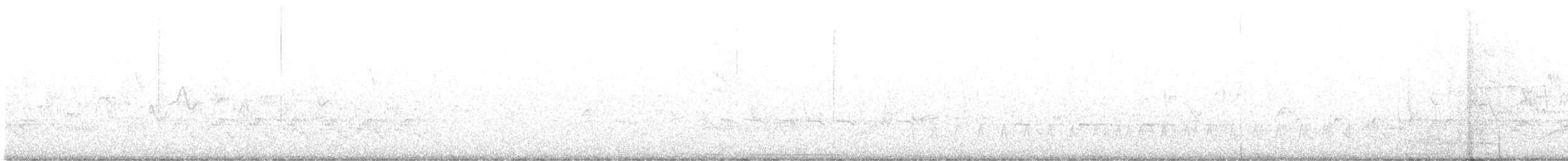 White-tipped Dove - ML564015081