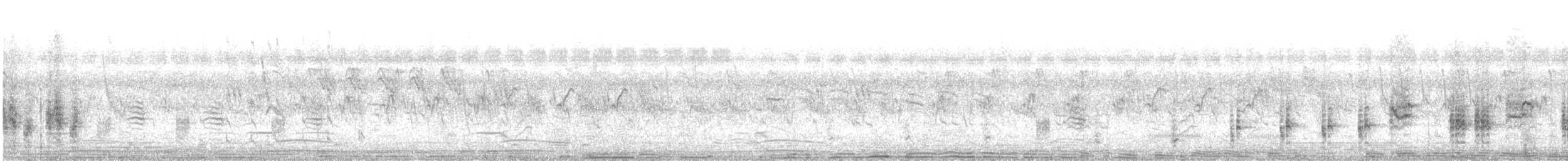 Clamorous Reed Warbler - ML564030561