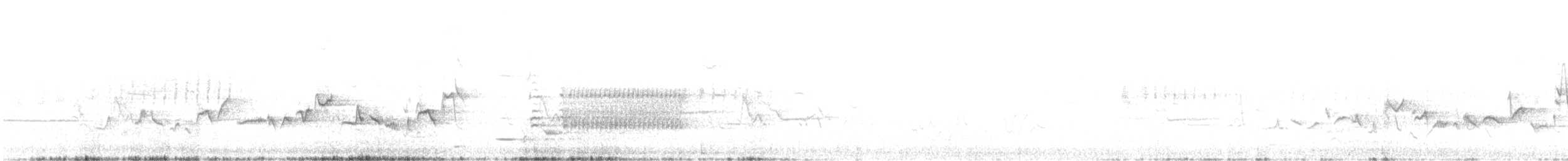 Eastern Warbling Vireo - ML564130841