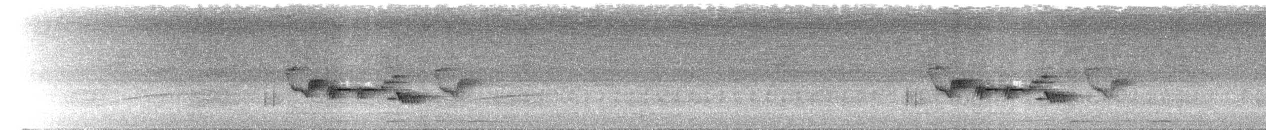 Дрізд-короткодзьоб чорноголовий - ML564136851