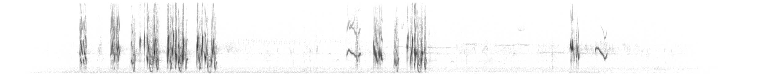 vlaštovka stromová - ML564155331