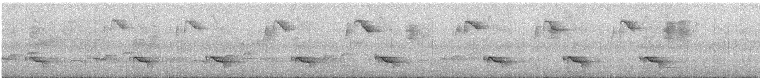 Percefleur à flancs blancs - ML564193501