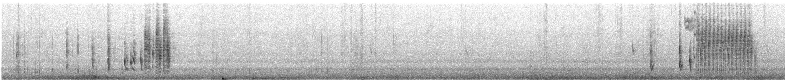 Marsh Wren (plesius Group) - ML564221981