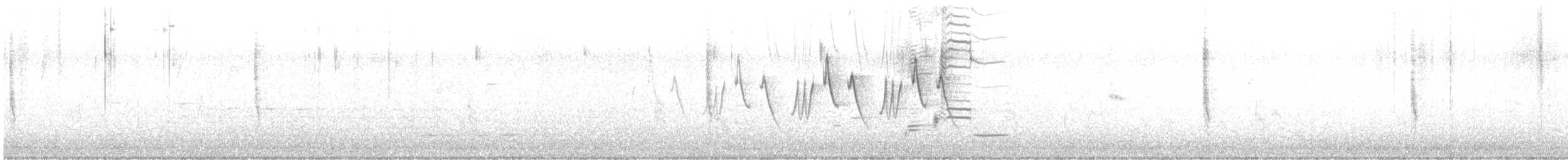 nordgulstrupe - ML564222011