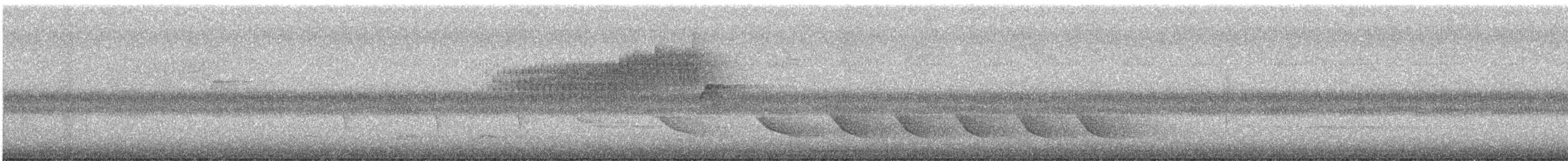 アサギアメリカムシクイ - ML564238751