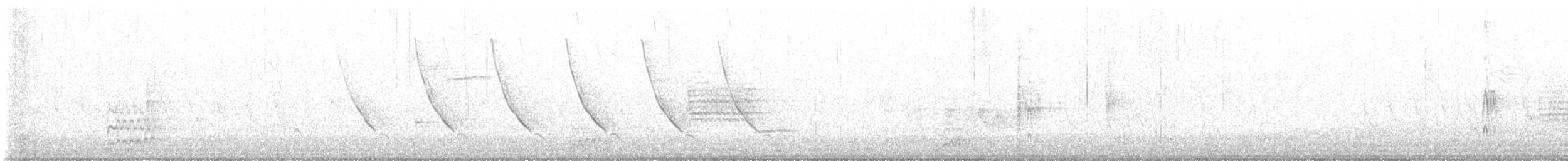 Western Kingbird - ML564348711