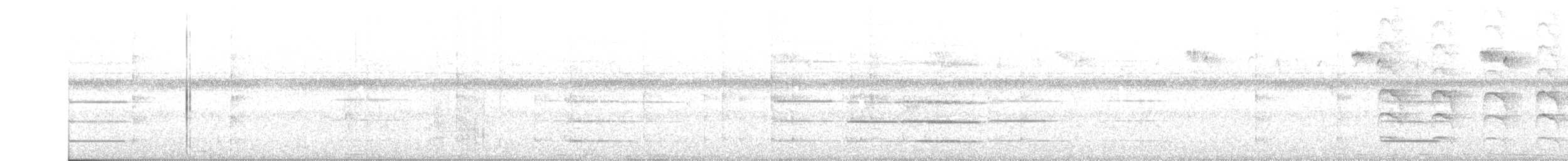 キガタヒメマイコドリ - ML564358441