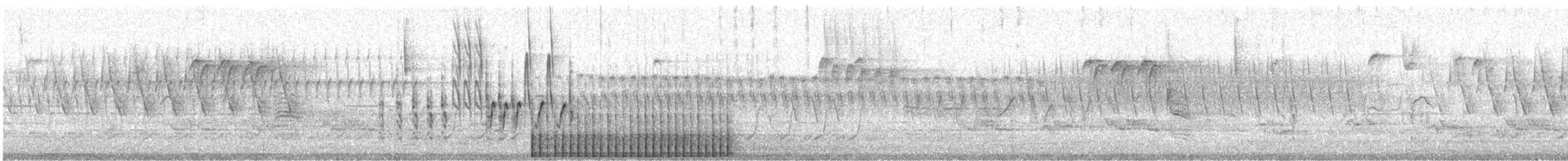 Northern Flicker (Yellow-shafted) - ML564390741