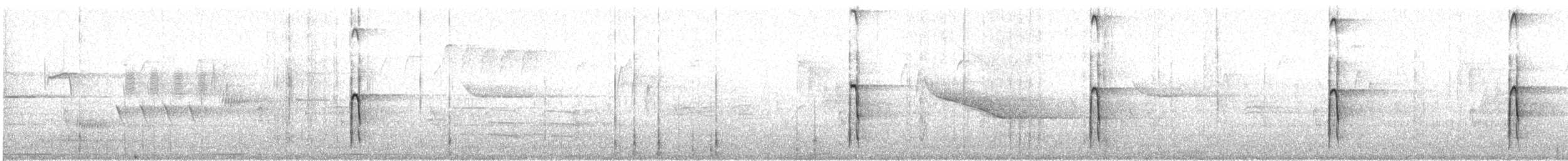 Hairy Woodpecker - ML564391341