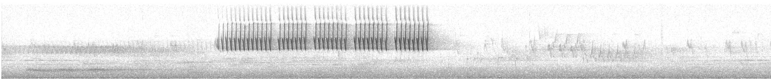 Chipping Sparrow - ML564391821