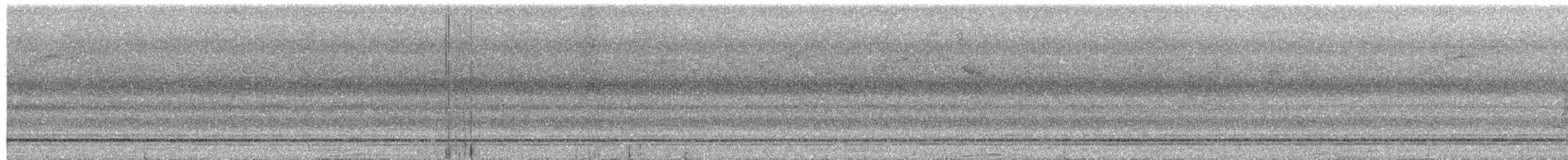 Motmot caraïbe (groupe subrufescens) - ML564415681